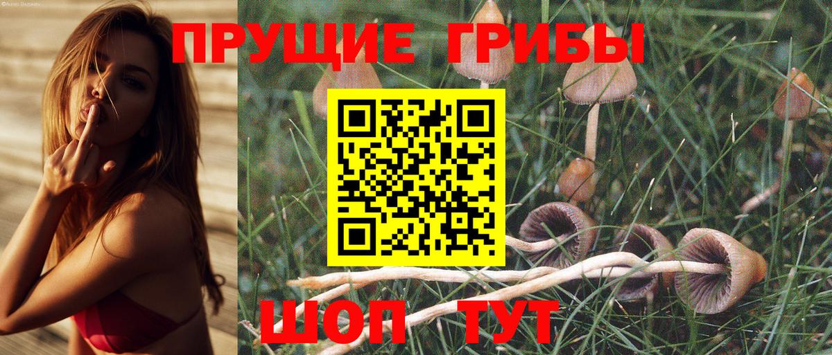 Псилоцибиновые грибы MAGIC MUSHROOMS Заречный