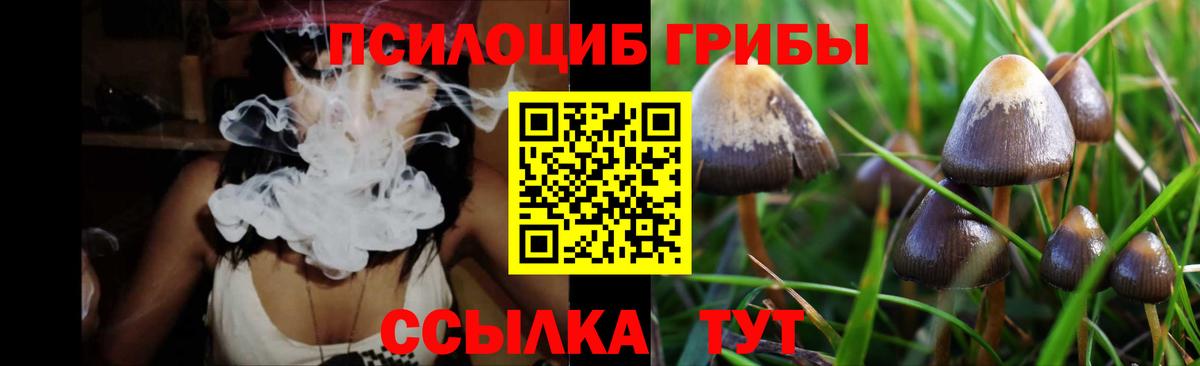 Заречный  Галлюциногенные грибы Magic Shrooms  Вход с VPN 